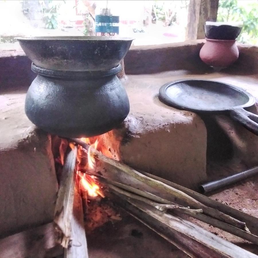 Yaluwa Tourist Rest & Cooking Class Anuradhapura Buitenkant foto